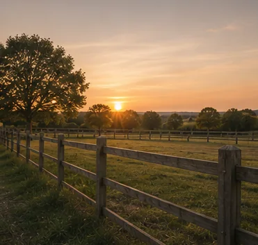 Computer-generated impression of open countryside at sunset beyond a post-and-rail fence